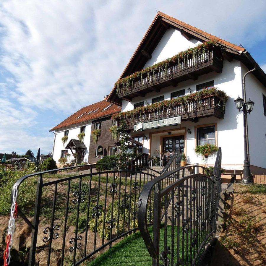Hotel-Pension Flechsig Hartmannsdorf bei Kirchberg Εξωτερικό φωτογραφία
